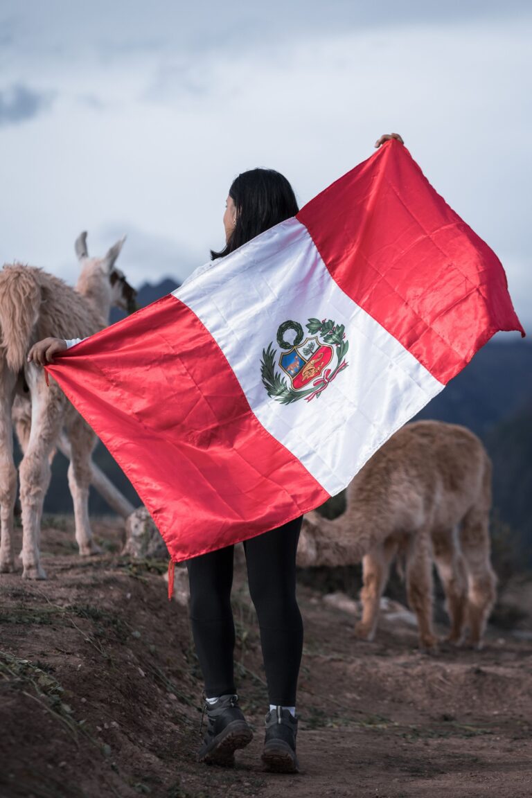 Nace CULT Perú, un nuevo espacio de formación especializada para traductores e intérpretes